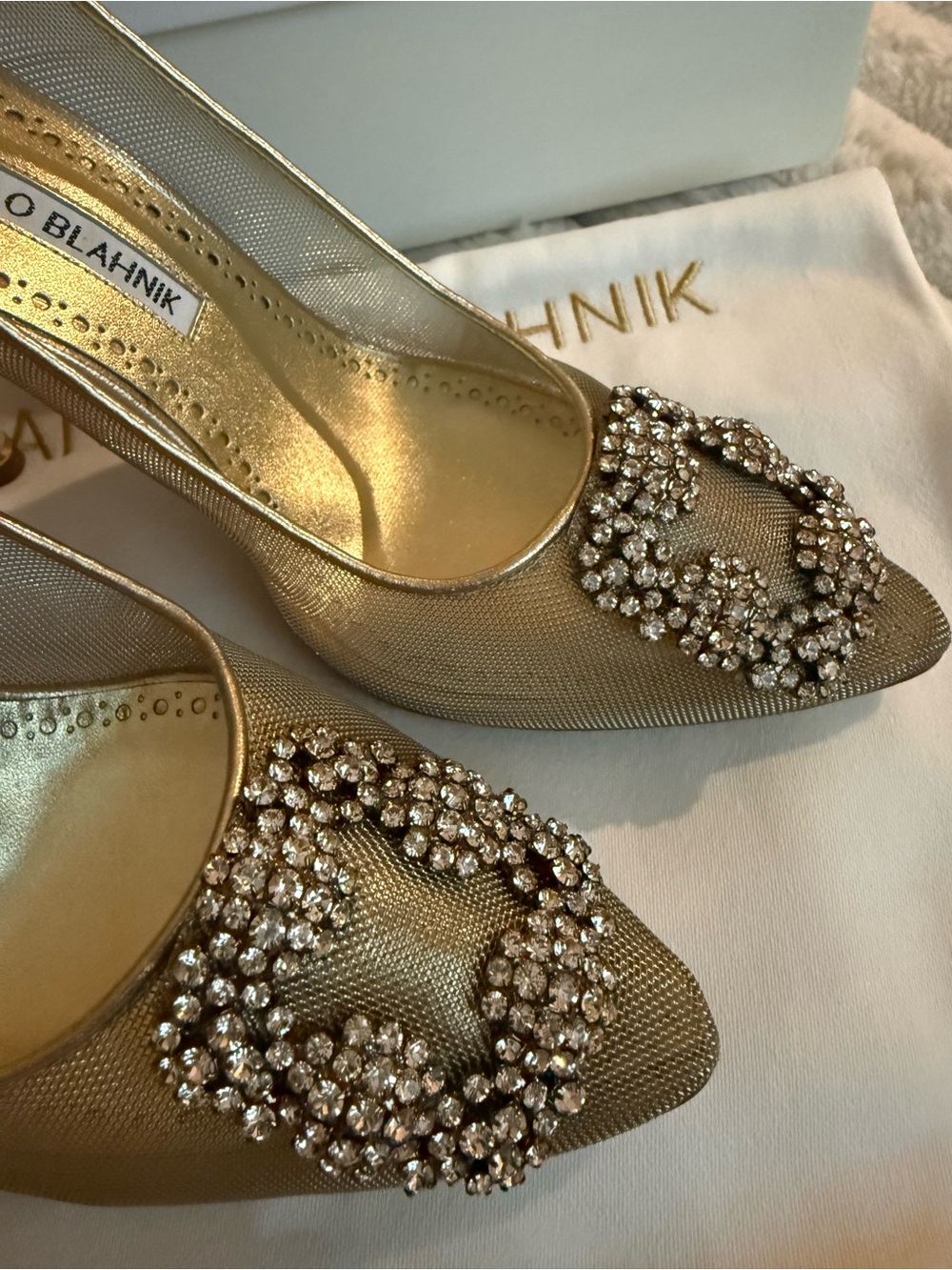 Manolo Blahnik Hangisi Crystal Buckle Mesh Pump NIB 6.5 US / 36.5 EU - Picture 13 of 15